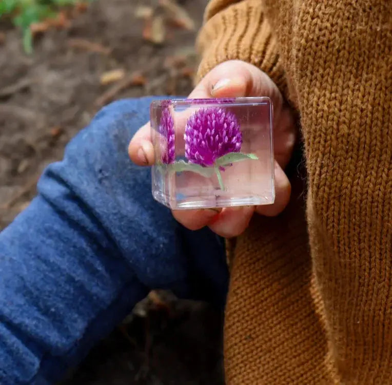 Our Earth Life // Trio Of Flora Specimens Our Earth Life