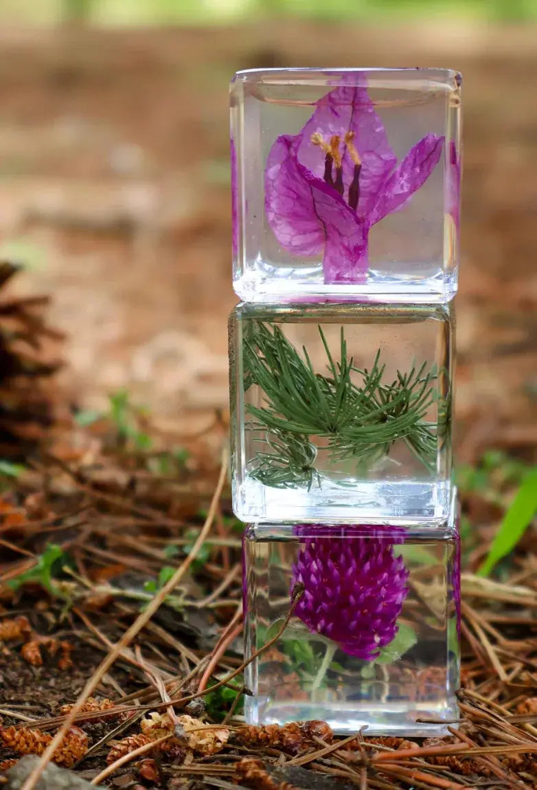 Our Earth Life // Trio Of Flora Specimens Our Earth Life