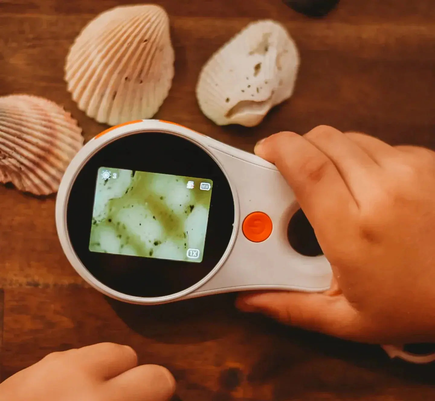 Our Earth Life // Digital Microscope Our Earth Life