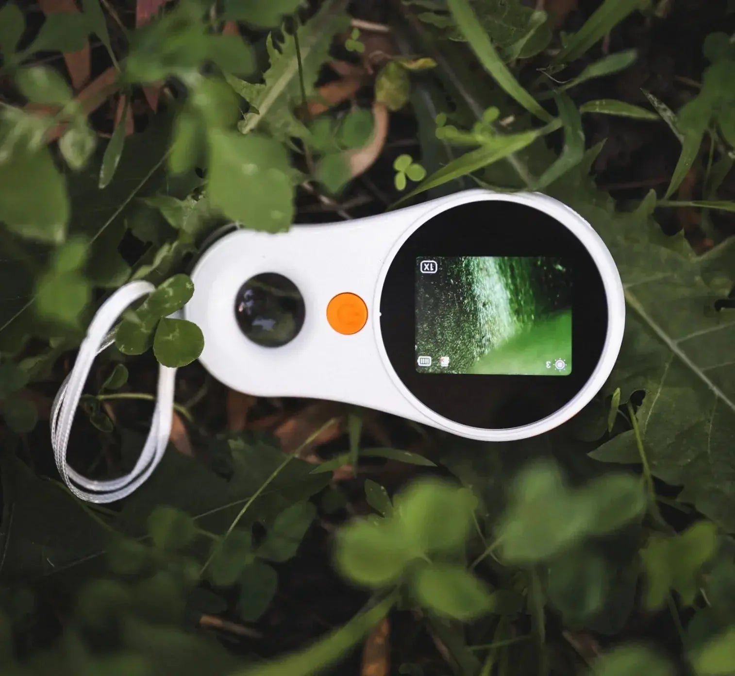 Our Earth Life // Digital Microscope Our Earth Life