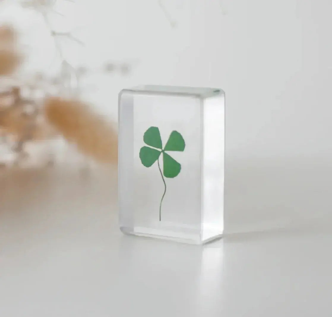 Our Earth Life // Four Leaf Clover Specimen Our Earth Life