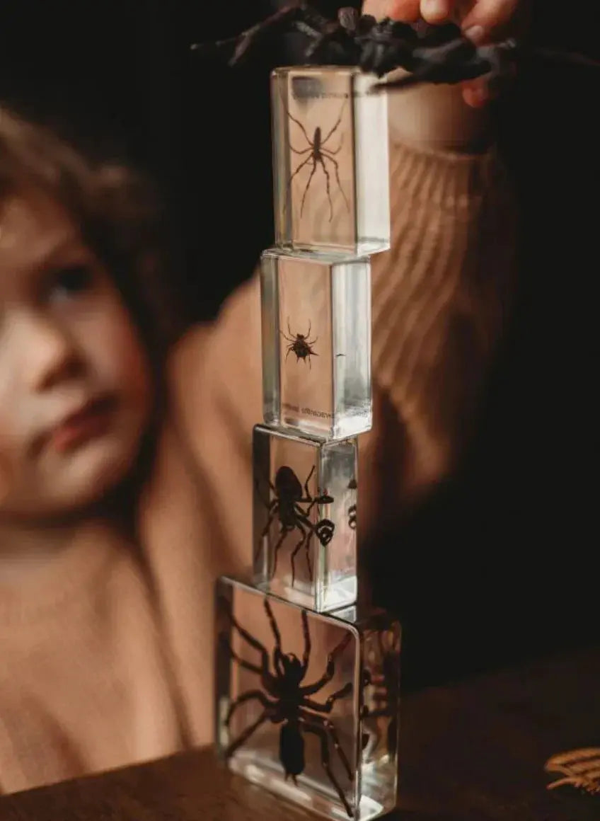 Our Earth Life // Spider Specimen Set Our Earth Life