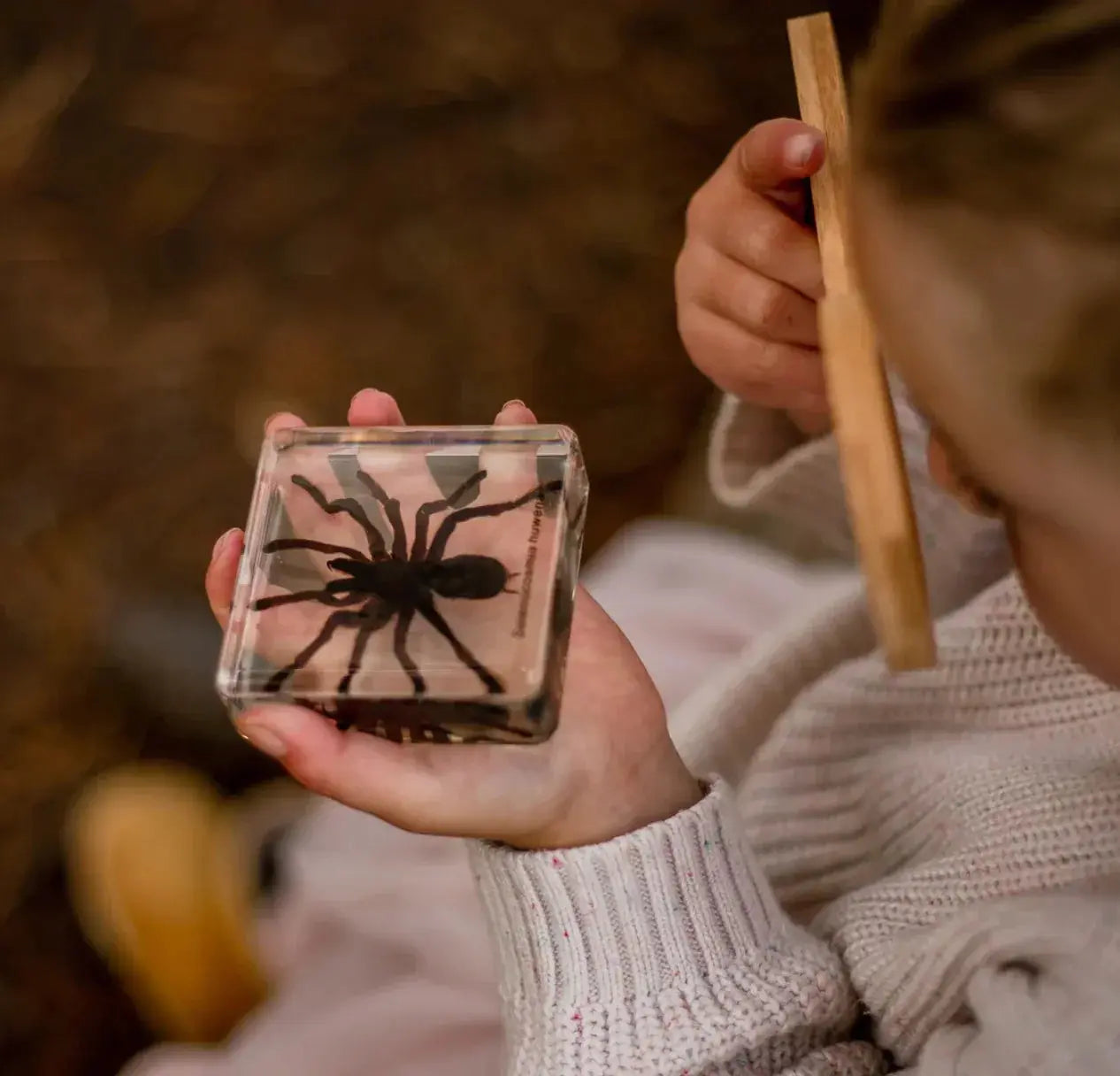 Our Earth Life // Spider Specimen Set Our Earth Life