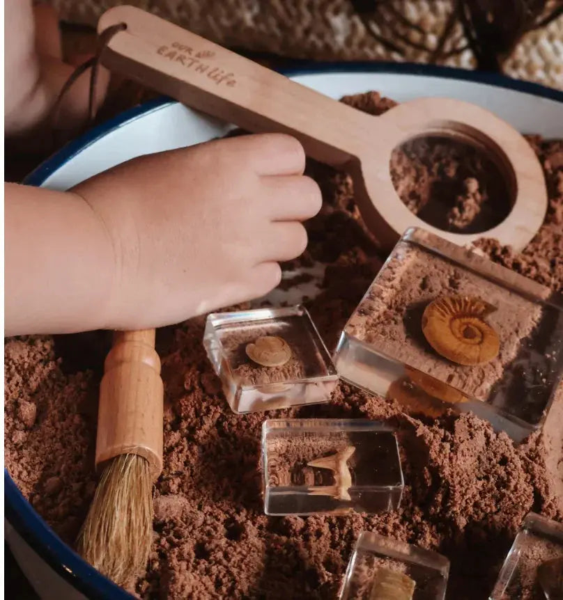Our Earth Life // Fossil Finder Bundle Our Earth Life