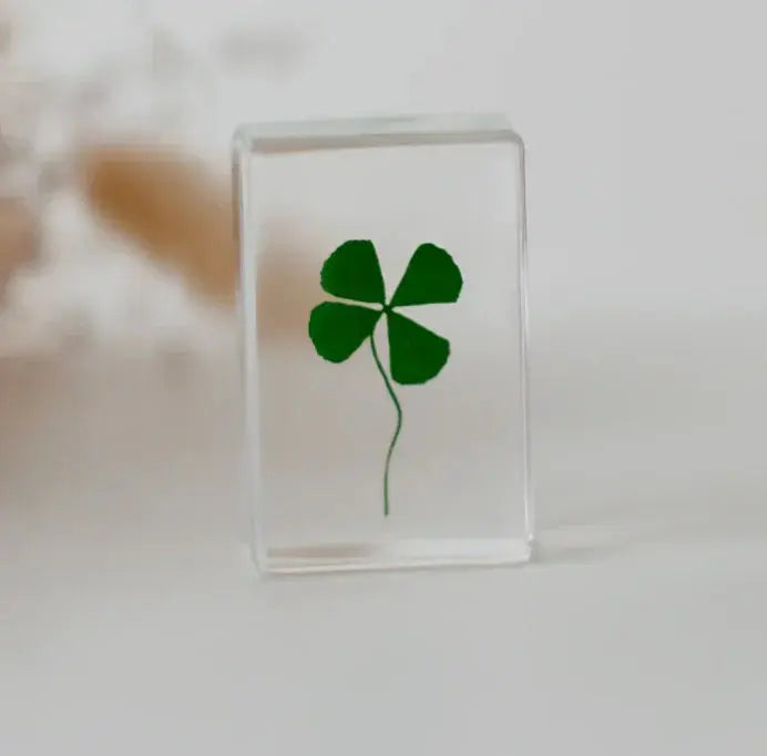 Our Earth Life // Four Leaf Clover Specimen Our Earth Life