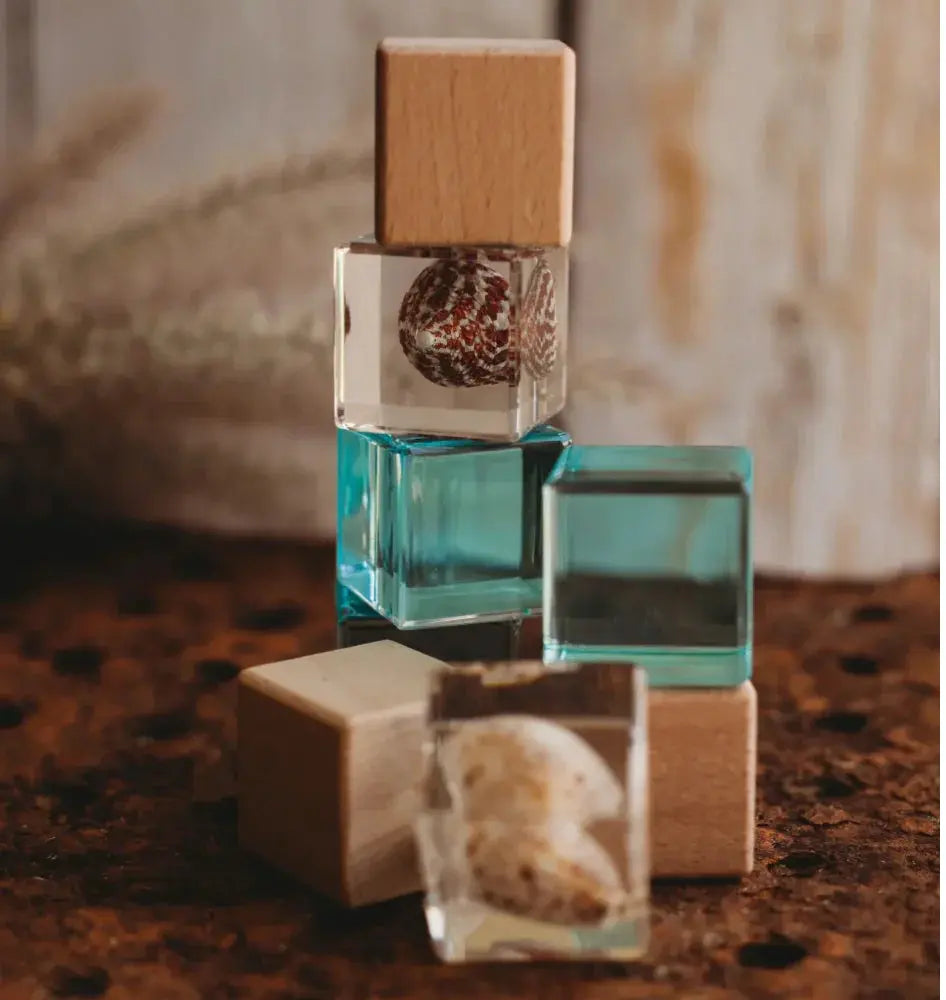 Our Earth Life // Shell Stackables Set Our Earth Life