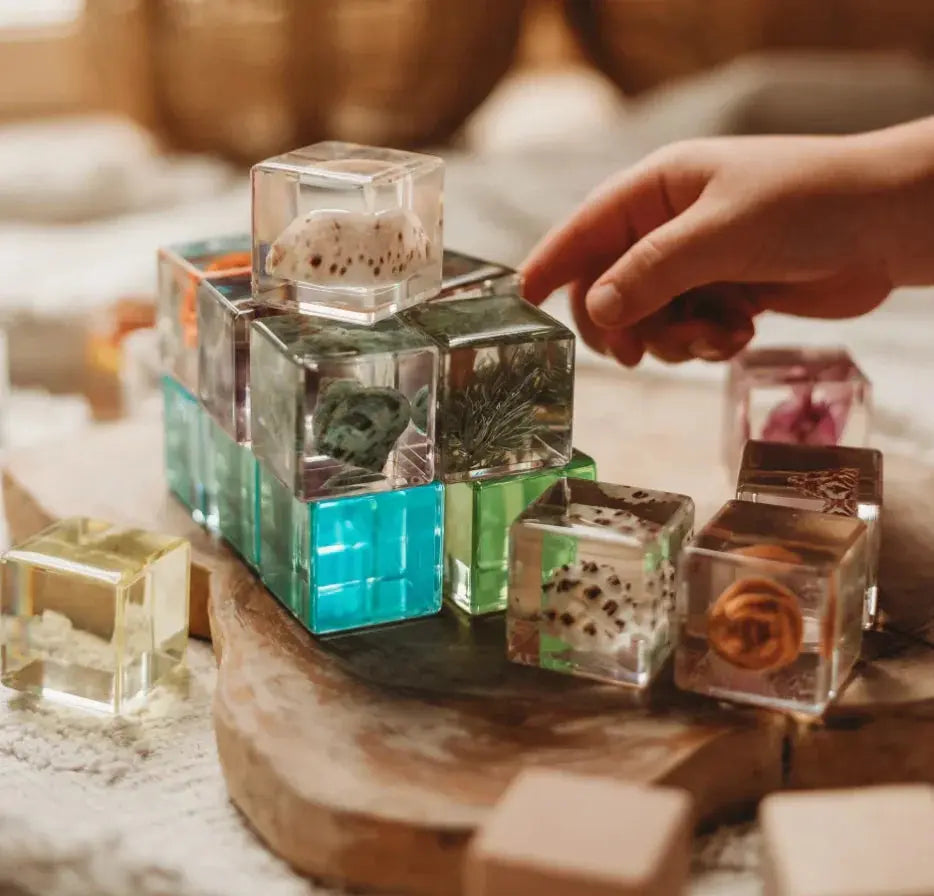 Our Earth Life // Shell Stackables Set Our Earth Life