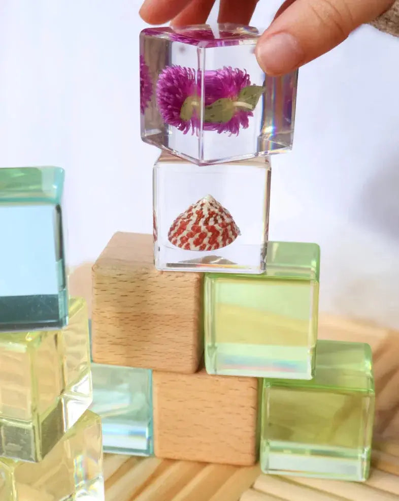 Our Earth Life // Shell Stackables Set Our Earth Life