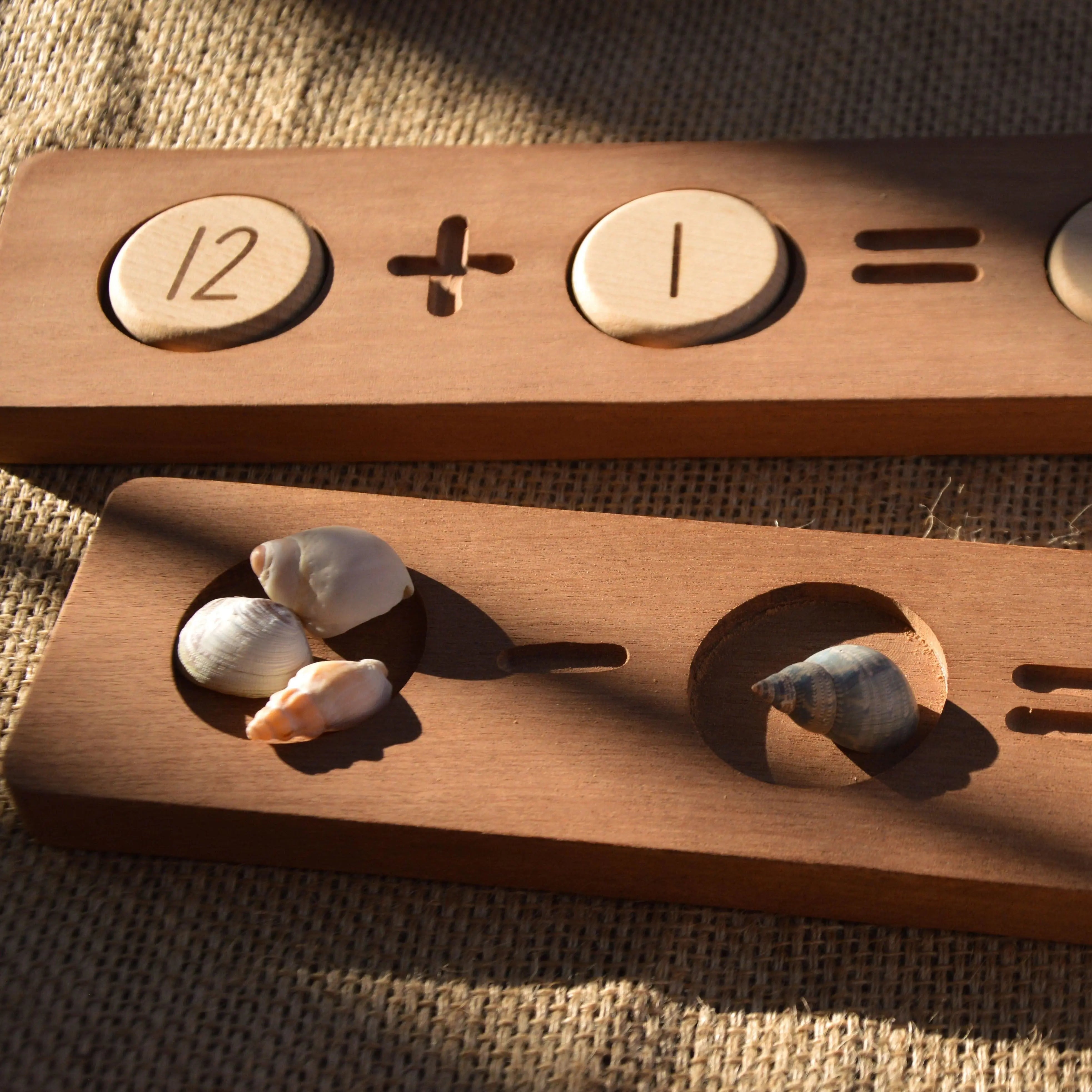 Reversible Counting Tray and Tokens Our Earth Life