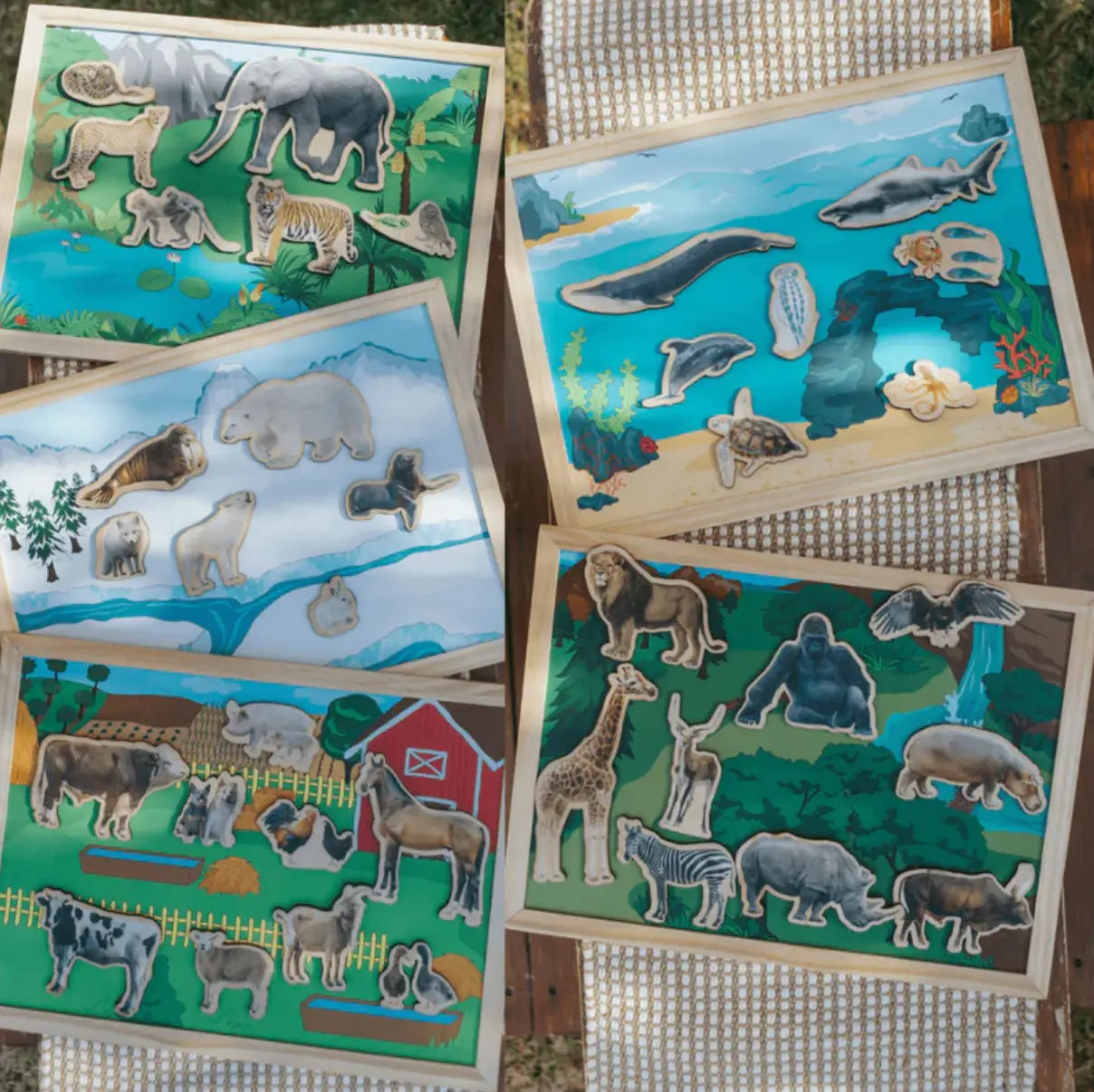 Set of animal-themed educational magnetic toys on a wooden surface
