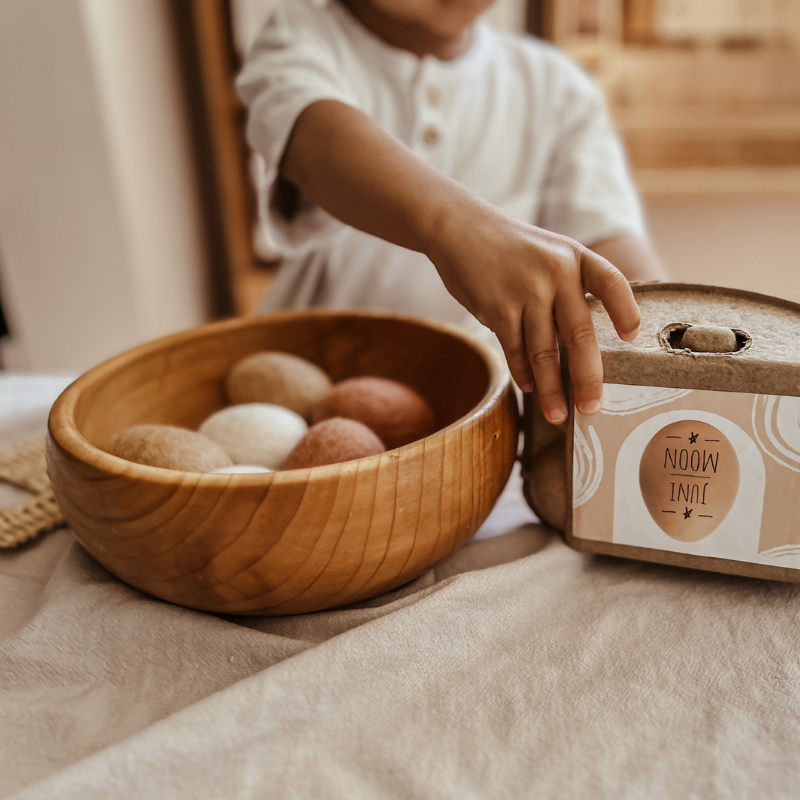 Felt Carton Eggs