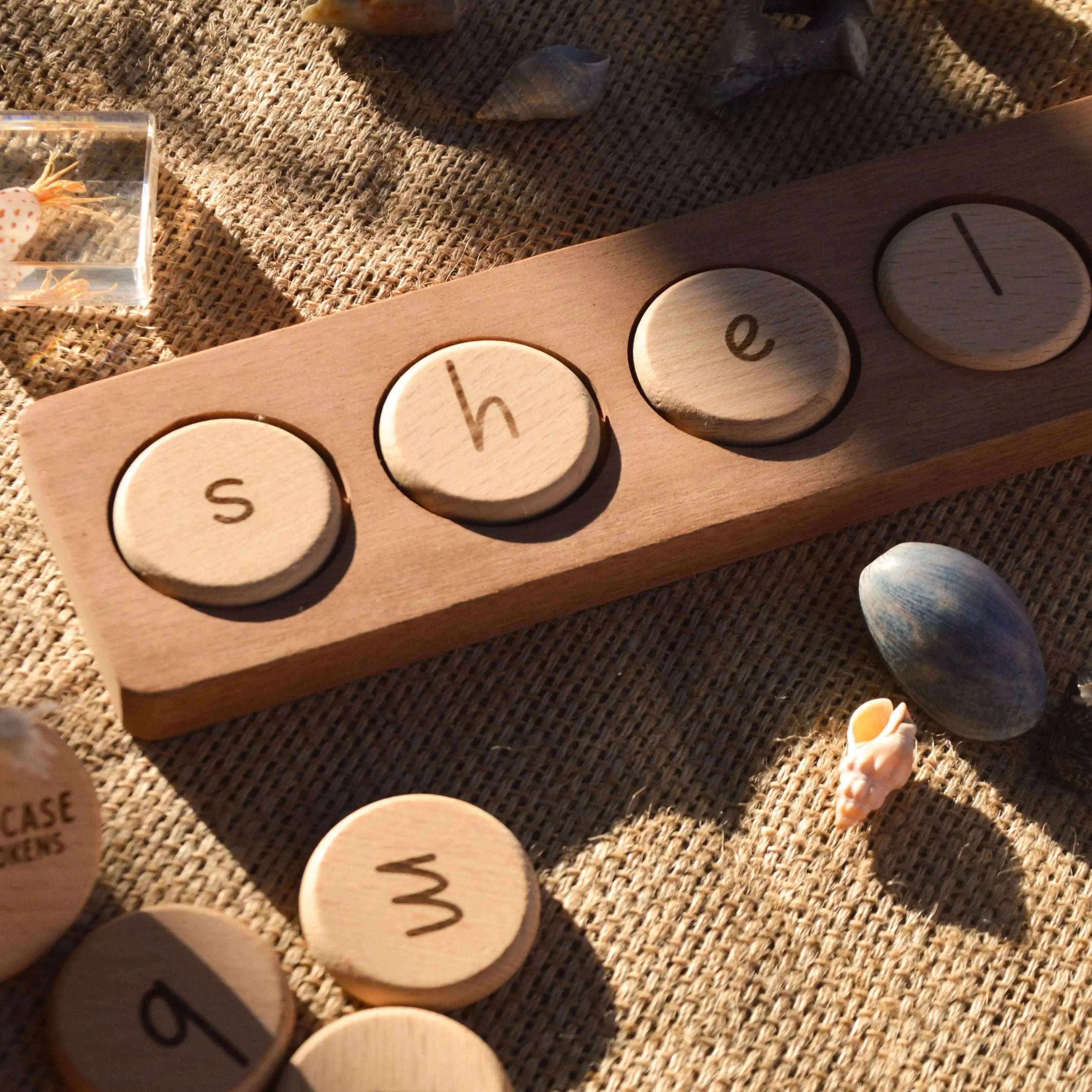 Wooden Word Building Tray and Tokens Our Earth Life