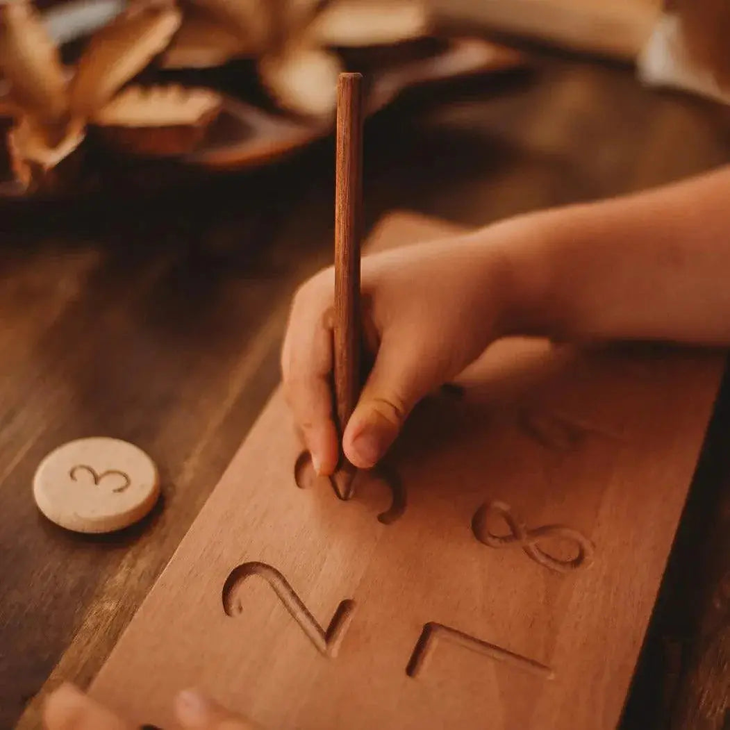 Reversible Alphabet and Number Tracing Board Our Earth Life
