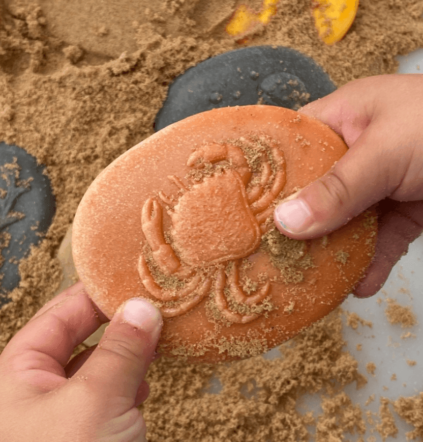 The Curated Parcel - Yellow Door // Let's Investigate -  Seashore   ** Pre-Order Late March / Early April Delivery ** 