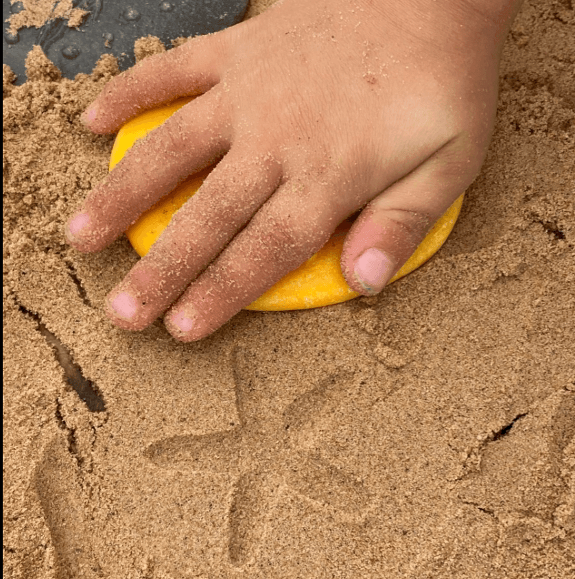 The Curated Parcel - Yellow Door // Let's Investigate -  Seashore   ** Pre-Order Late March / Early April Delivery ** 