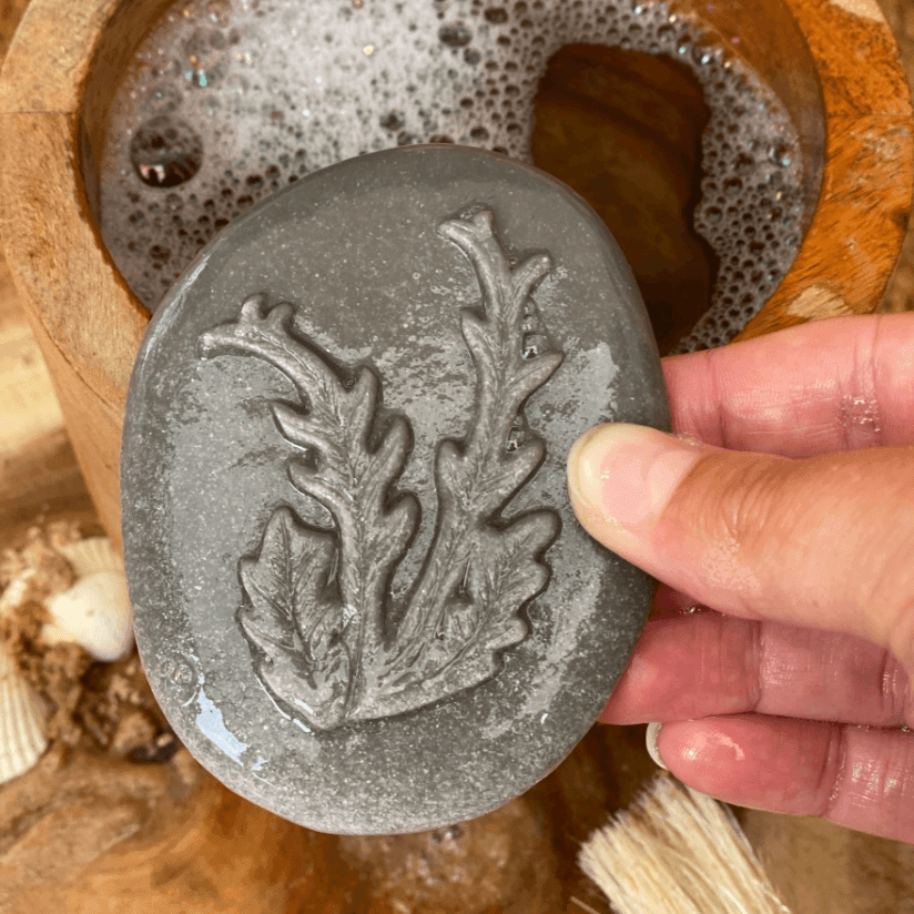 The Curated Parcel - Yellow Door // Let's Investigate -  Seashore   ** Pre-Order Late March / Early April Delivery ** 