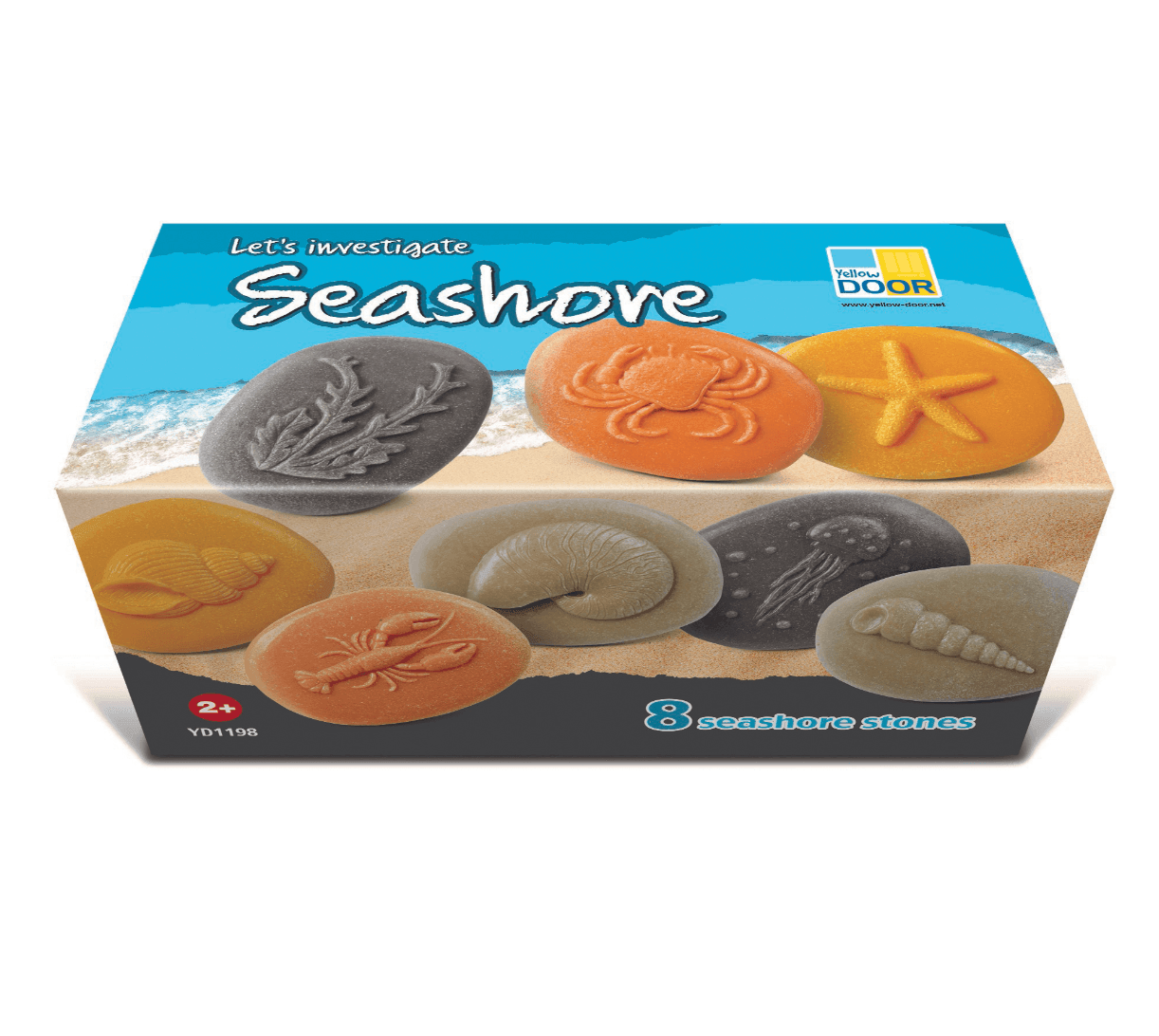 The Curated Parcel - Yellow Door // Let's Investigate -  Seashore   ** Pre-Order Late March / Early April Delivery ** 