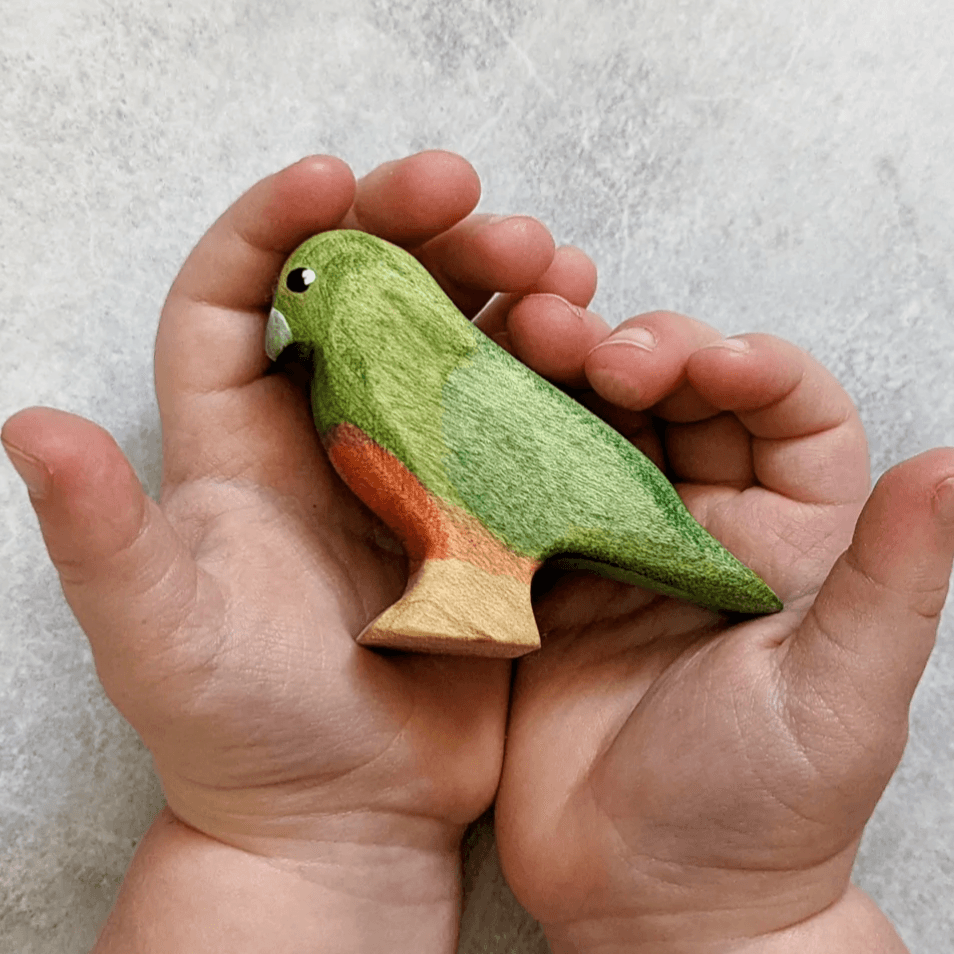 The Curated Parcel - NOM // King Parrot (Female) 