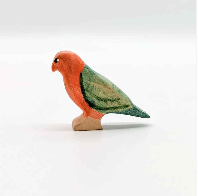 The Curated Parcel - NOM // King Parrot (Male) 