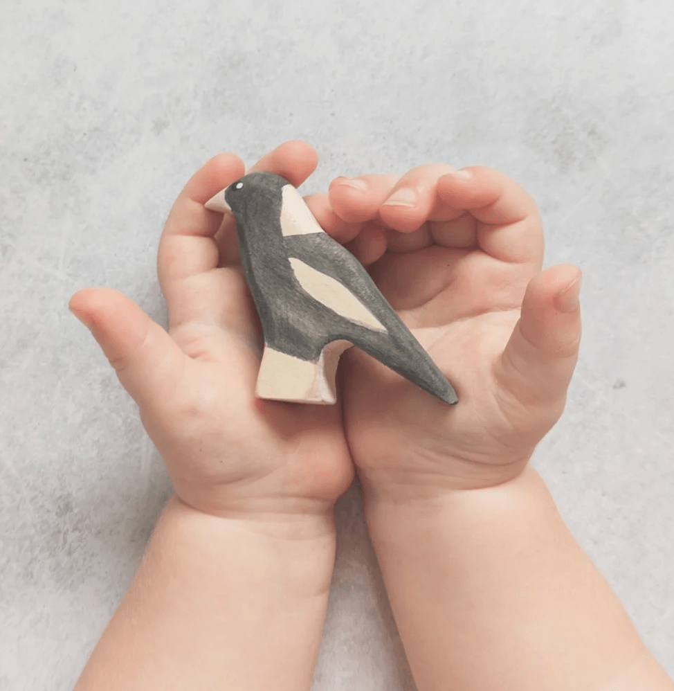 The Curated Parcel - NOM // Magpie 