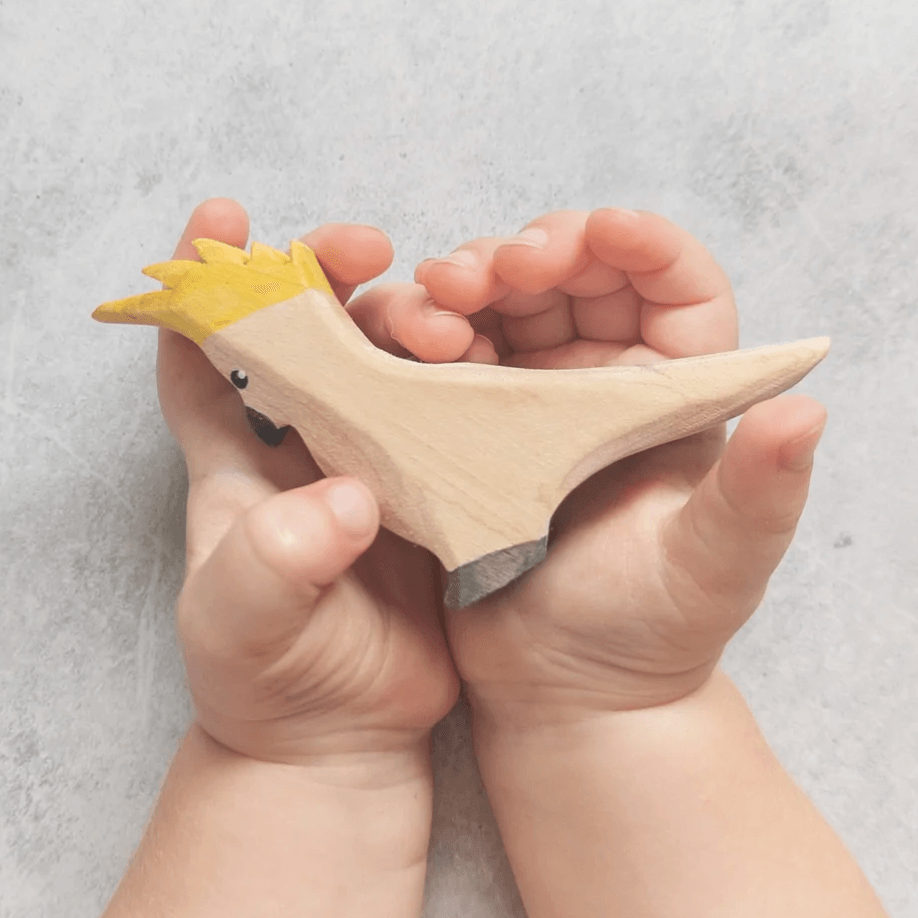 The Curated Parcel - NOM // Sulphur Crested Cockatoo 
