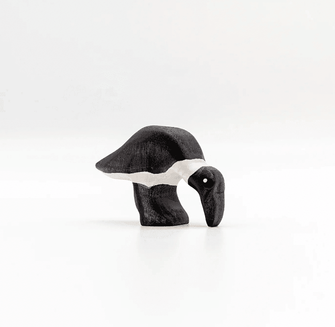 The Curated Parcel - NOM // Ibis Pecking 