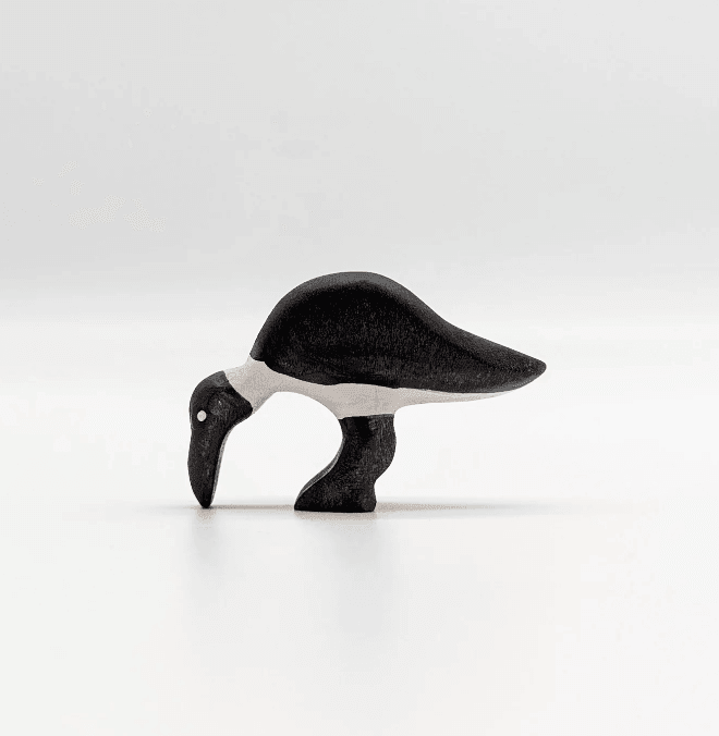 The Curated Parcel - NOM // Ibis Pecking 