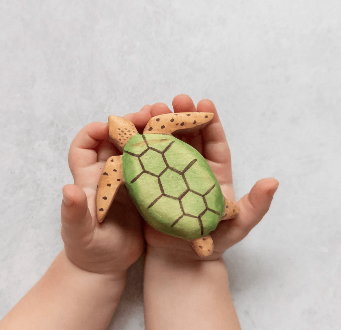 The Curated Parcel - NOM // Sea Turtle 