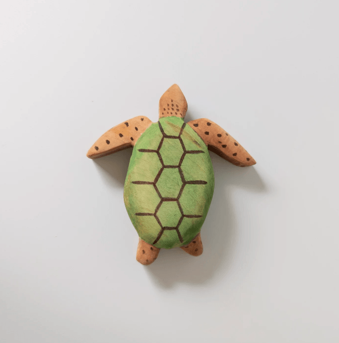 The Curated Parcel - NOM // Sea Turtle 