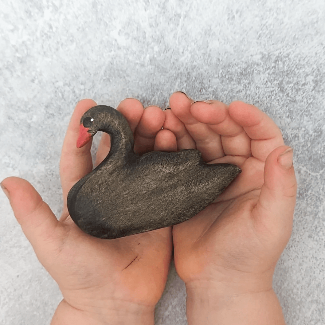 The Curated Parcel - NOM // Black Swan 