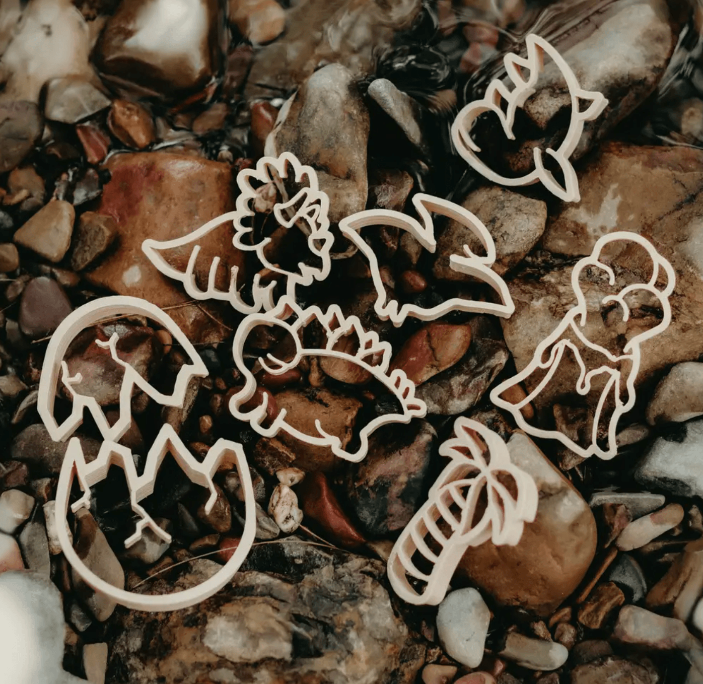 The Curated Parcel - Eco Cutter -Baby Dinosaur Eco Cutter ™ 