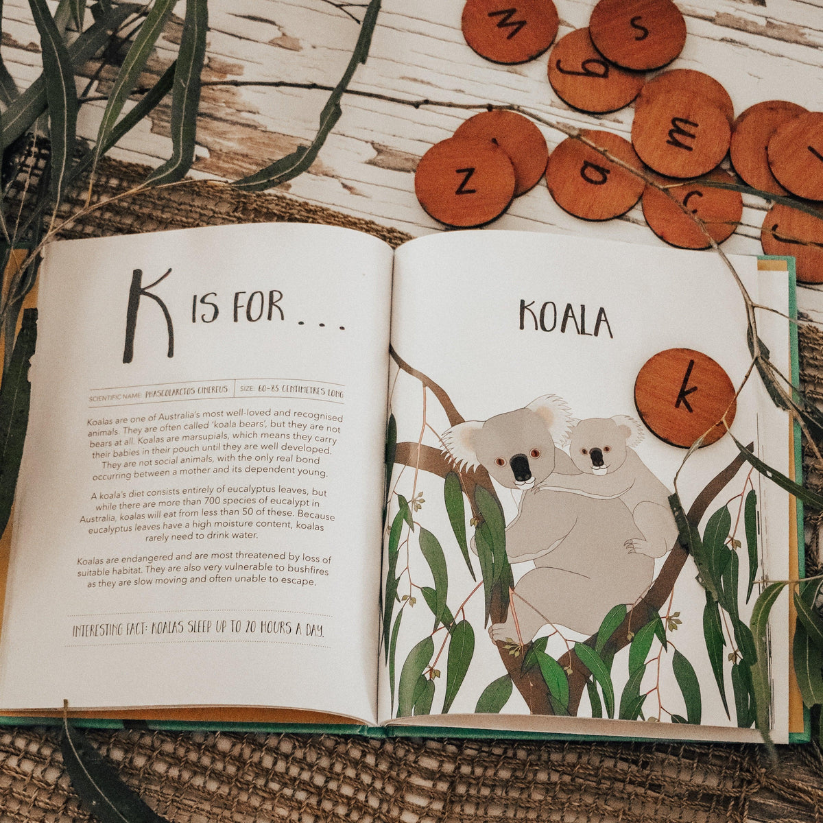 The Curated Parcel - A-Z of Australian Animals 