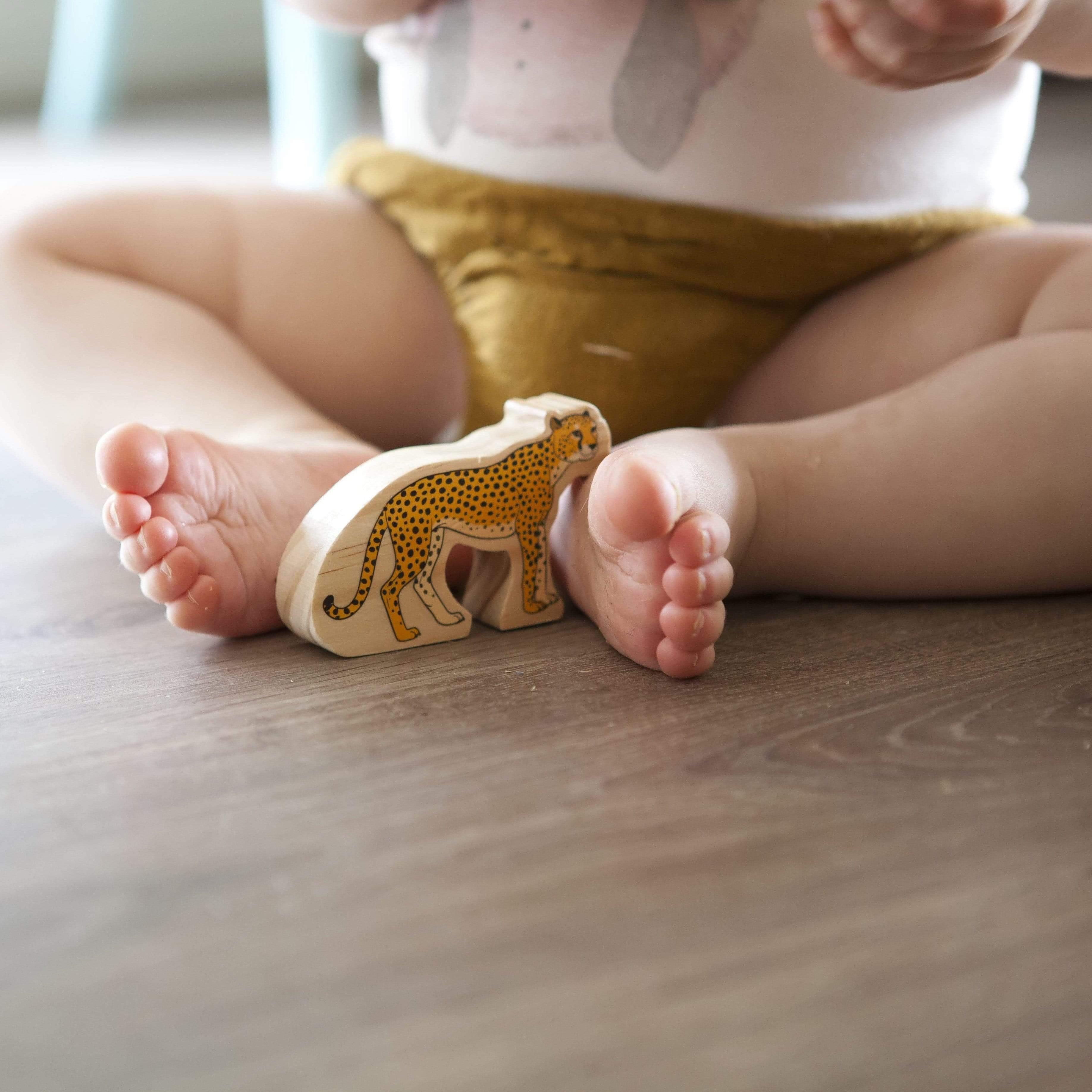 The Curated Parcel - Animals In The Wild Set 