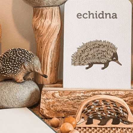 The Curated Parcel - Aussie Animals Flash Cards 