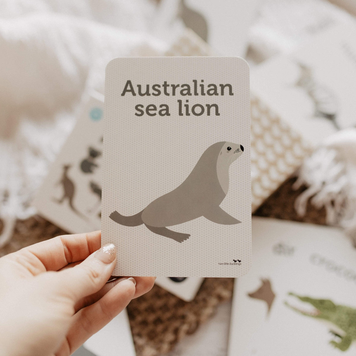 The Curated Parcel - Aussie Animals Flash Cards 