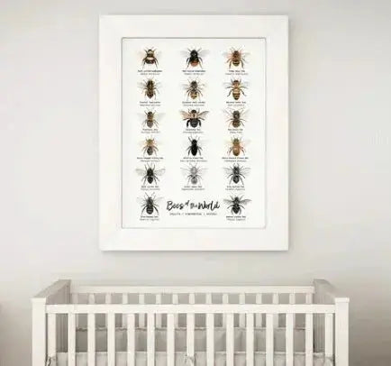 The Curated Parcel - Bees of the World 