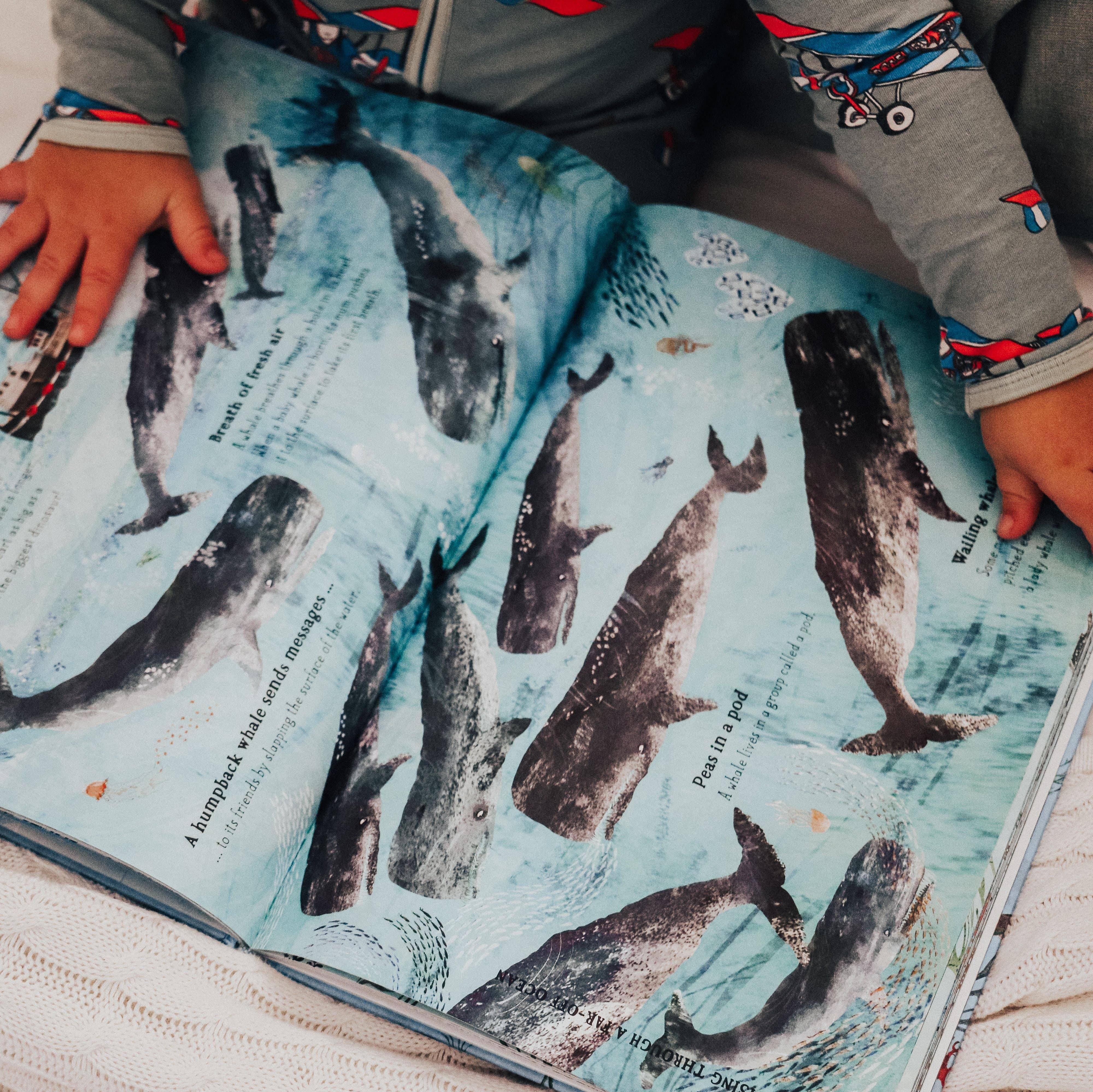 The Curated Parcel - Book Subscription Box (3-6 Years) 