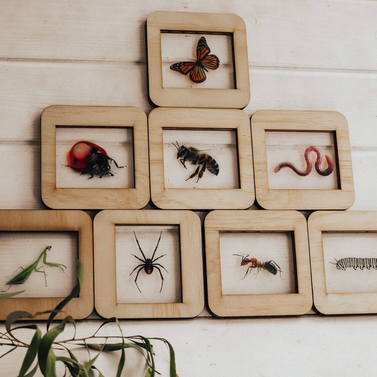 The Curated Parcel - Bug Lightbox Tiles 