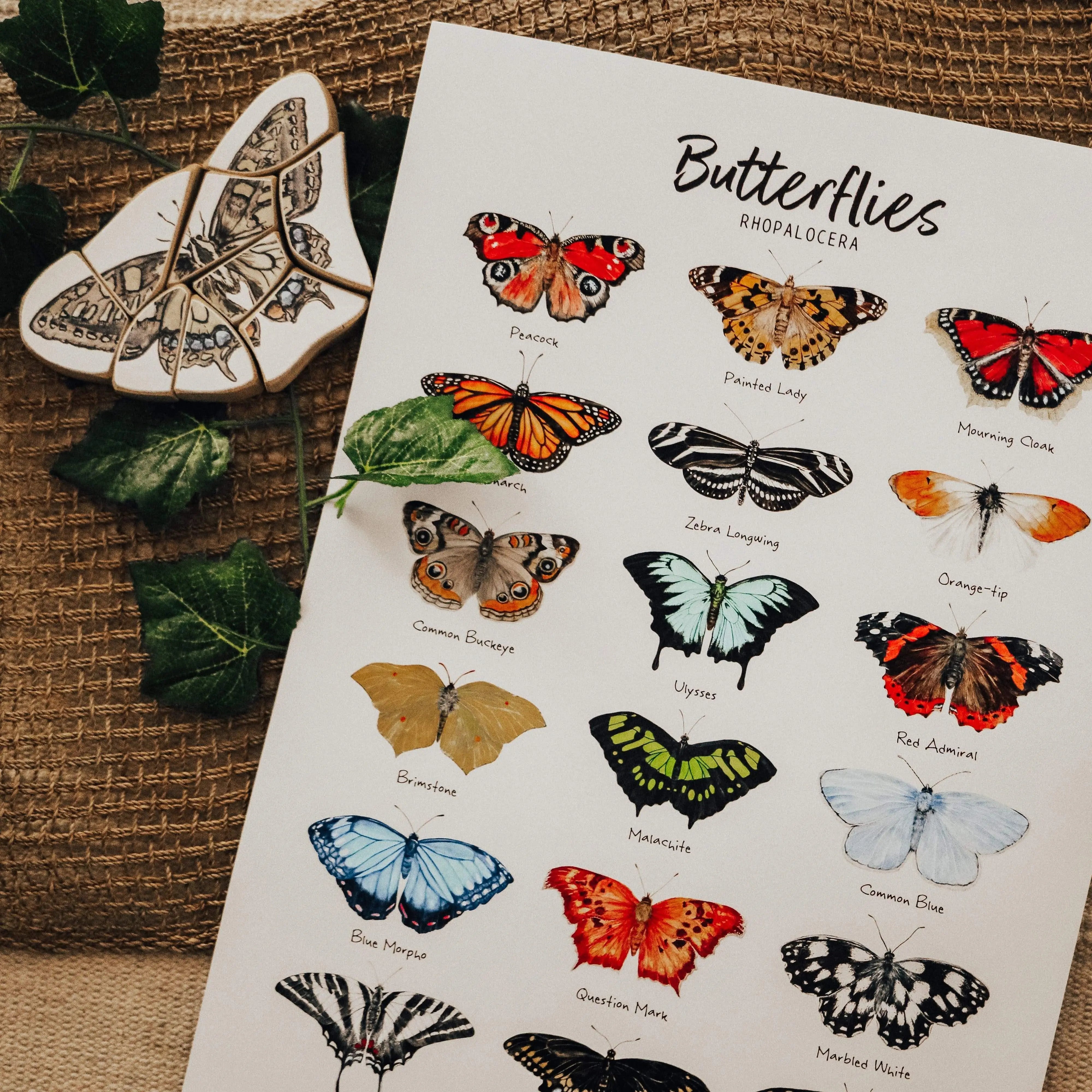 The Curated Parcel - Butterflies 
