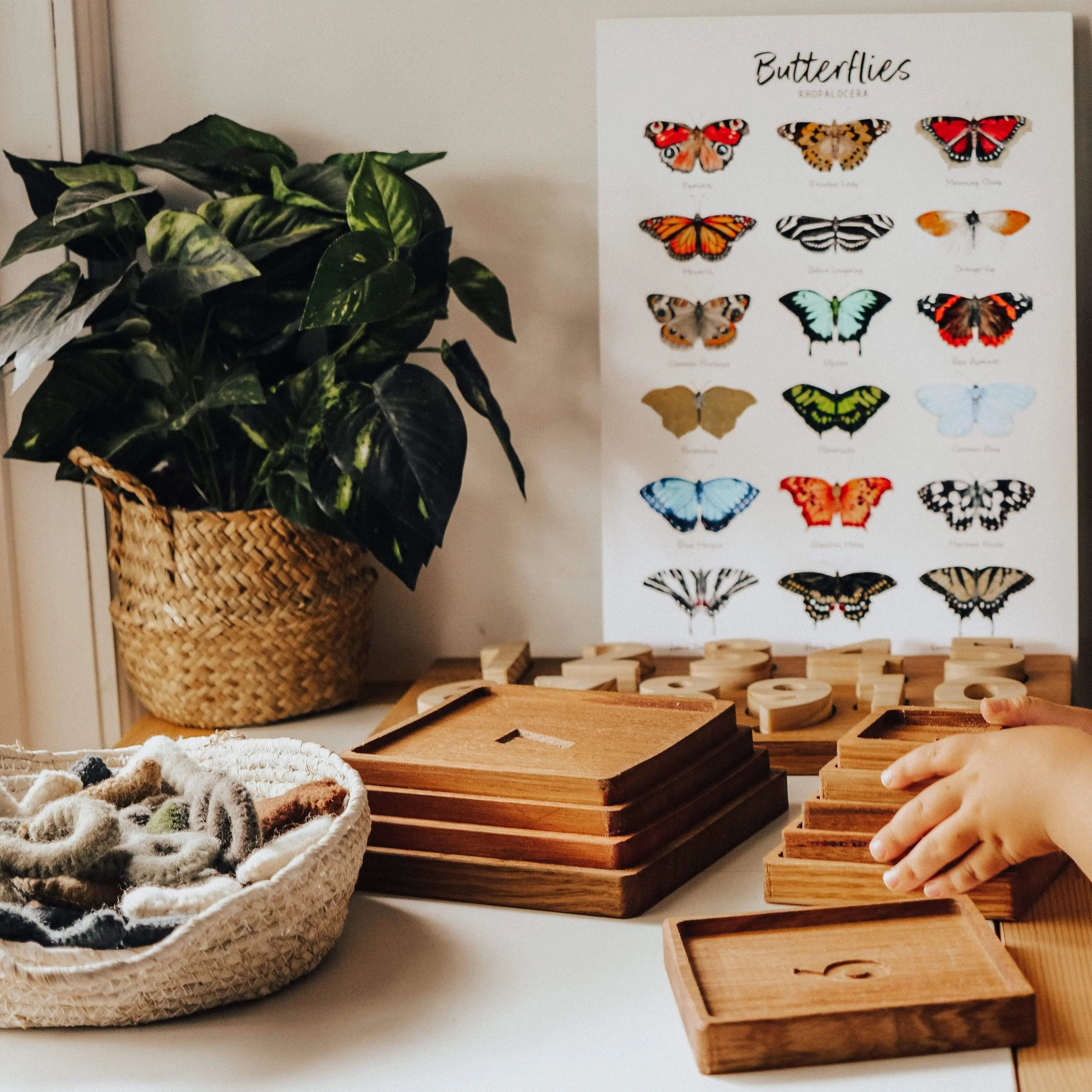 The Curated Parcel - Butterflies 