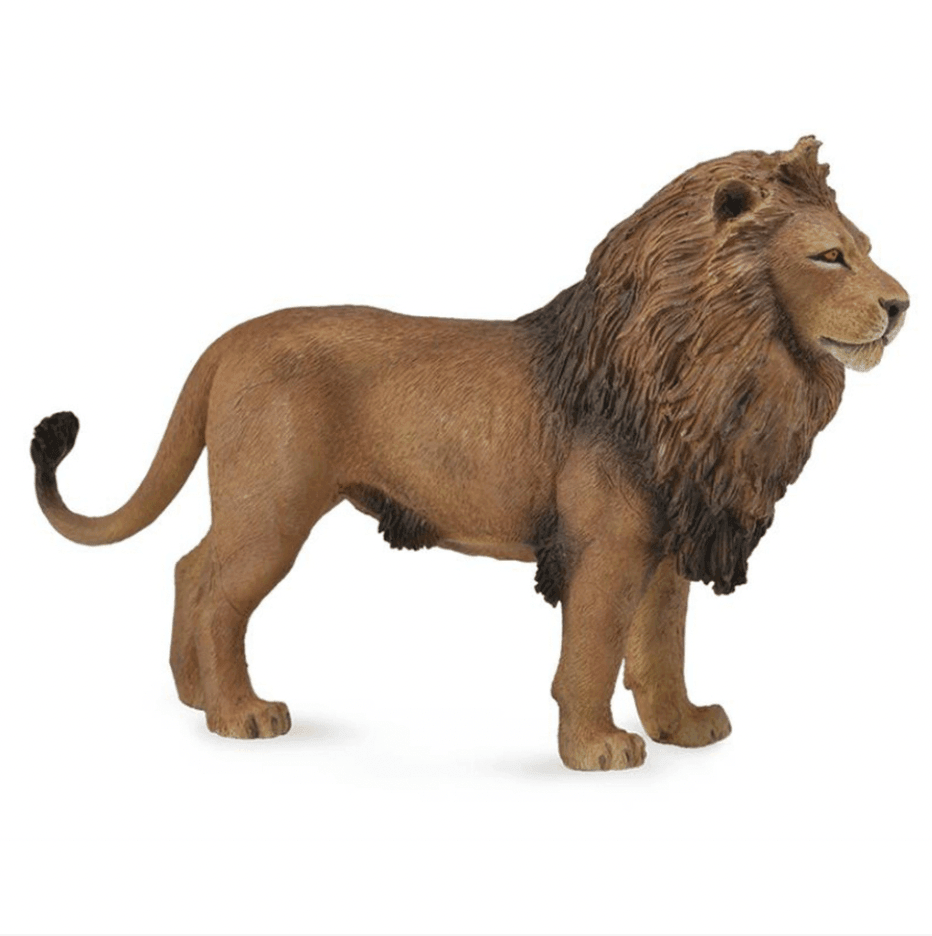 The Curated Parcel - CollectA // African Lion 