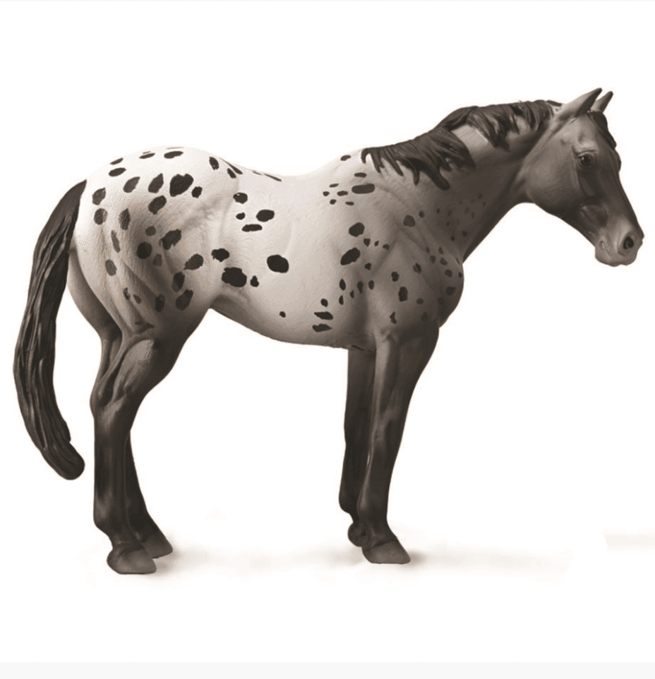 The Curated Parcel - CollectA // Appaloosa Blue Roan 
