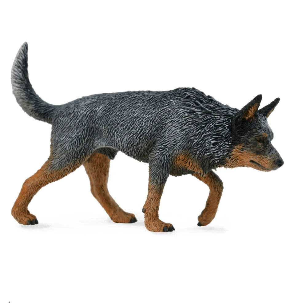 The Curated Parcel - CollectA // Australian Cattle Dog Blue Healer 
