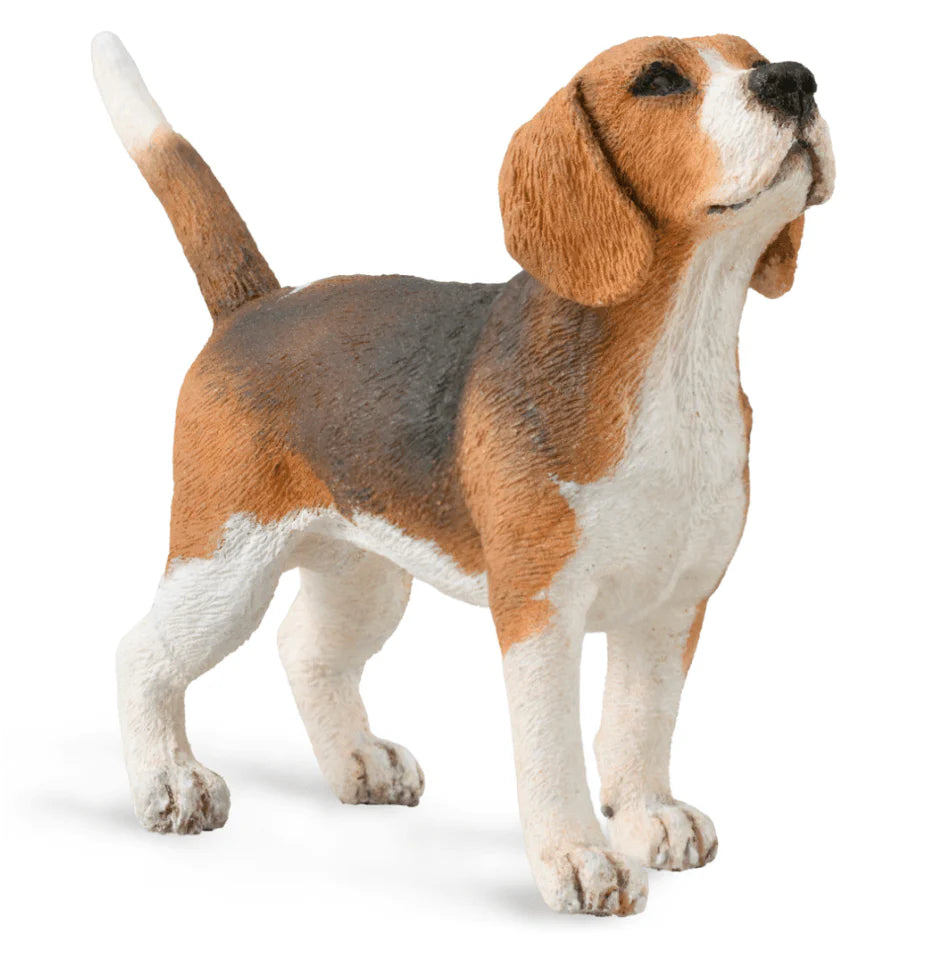 The Curated Parcel - CollectA // Beagle 