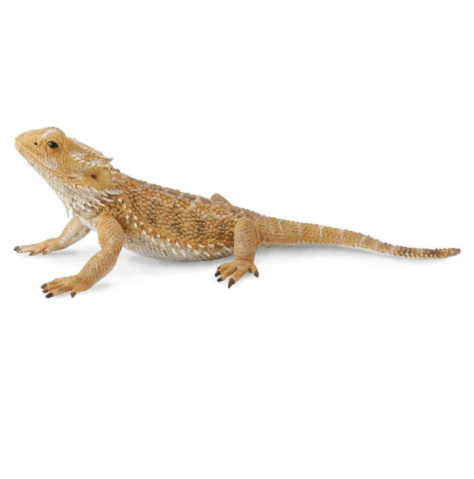 The Curated Parcel - CollectA // Bearded Dragon Lizard 