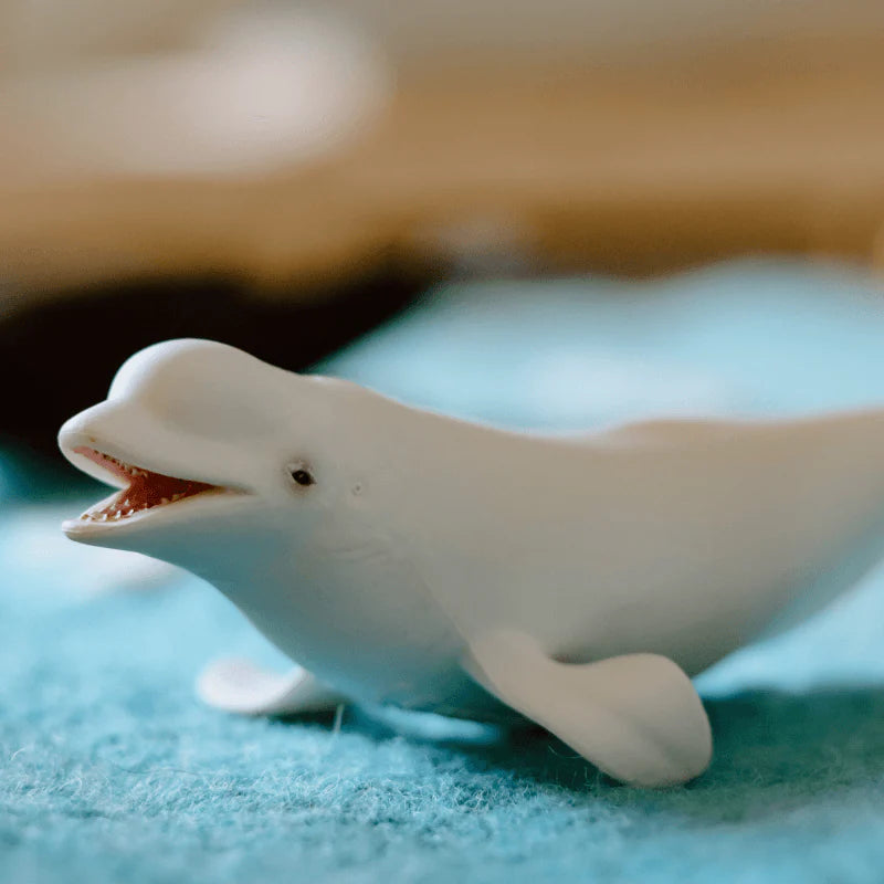 The Curated Parcel - CollectA // Beluga Whale 