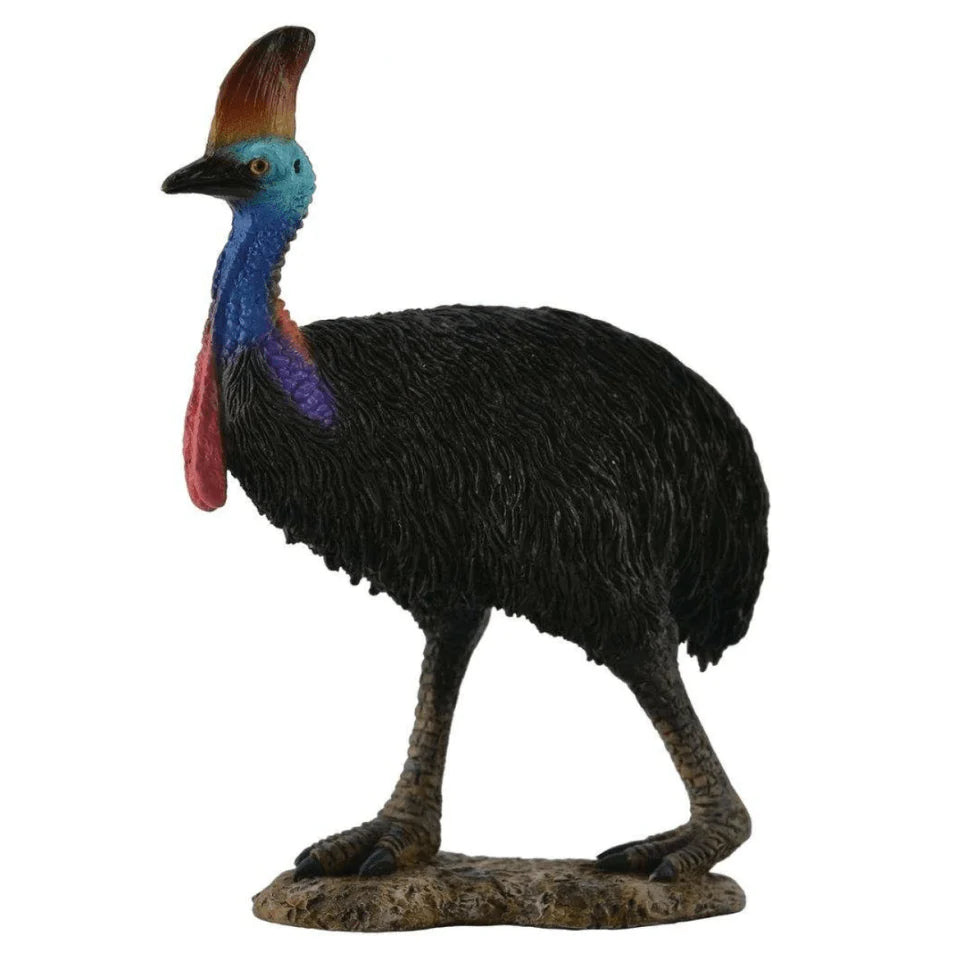 The Curated Parcel - CollectA // Cassowary Southern 
