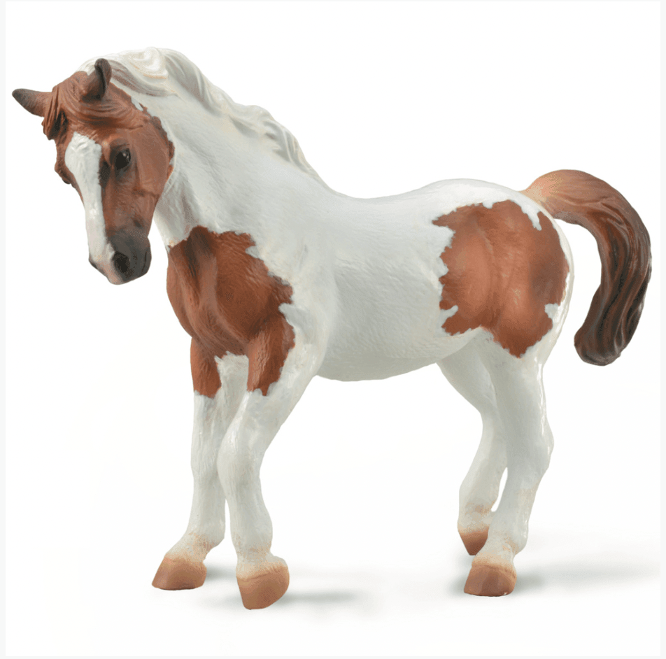 The Curated Parcel - CollectA // Chincoteague Pony Chestnut Pinto 