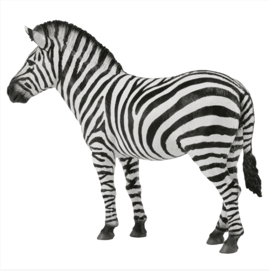 The Curated Parcel - CollectA // Common Zebra 