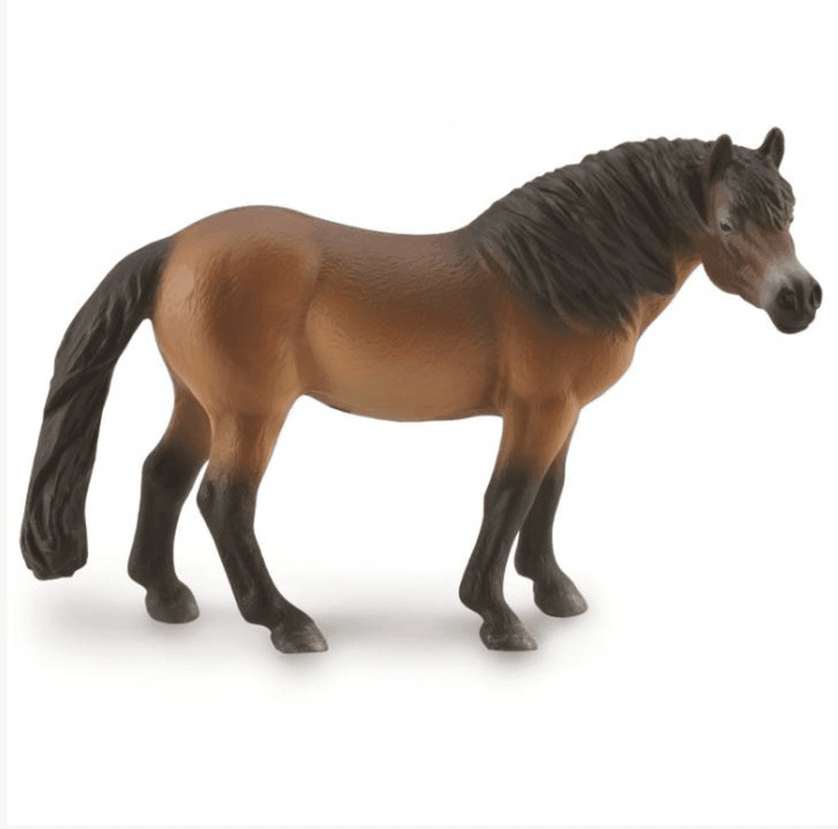 The Curated Parcel - CollectA // Exmoor Pony Stallion 